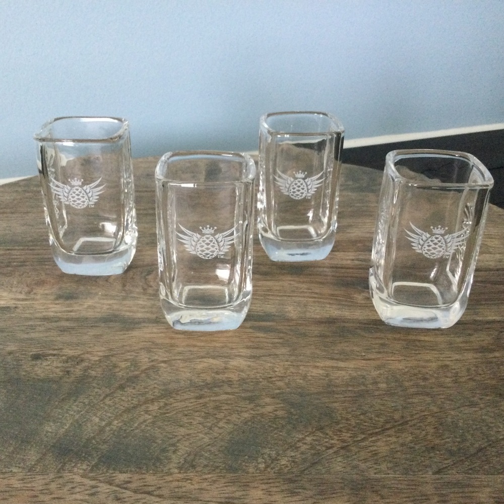 Avion Tequila Shot Glasses Frat Party